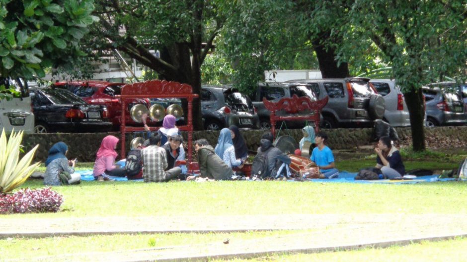 Nuo studijų Indonezijoje iki praktikos pas orangutanų tyrinėtoją