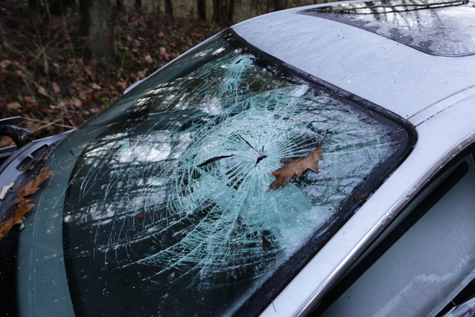 Kalvarijų rajone „Audi“ skriejo nuo kelio ir rėžėsi į medį: vairuotojas žuvo