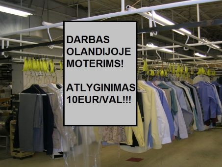 Skelbimas - DARBAS OLANDIJOJE MOTERIMS