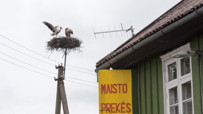 Kišenė: anot ekspertų, nerimą žmonėms kelia kelia tai, kad reikia išleisti gerokai daugiau pinigų būtiniausioms prekėms, maisto prekių krepšelio infliacija yra didžiausia.