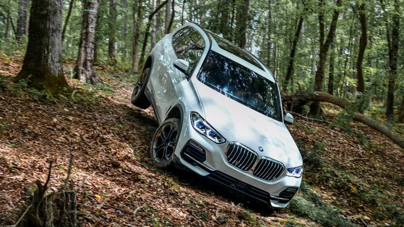 Taikinys: „BMW X5“ – vienas dažniausiai Europoje vagiamų automobilių.