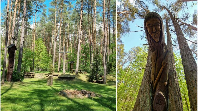 Verta: jei lankysitės miško muziejuje „Girios aidas“, šiek tiek laiko praleiskite ir greta jo esančiame take – miško parke.