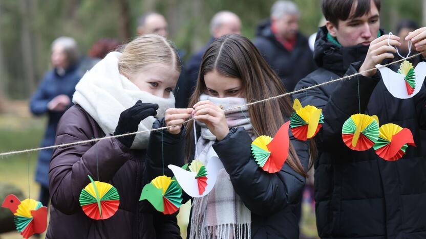 Atmintis: Šiulių kaime, šalia paminklinio akmens, Zapyškio pagrindinės mokyklos moksleiviai ant virvelių kabino iš popieriaus išlankstytus trispalvius paukščiukus.