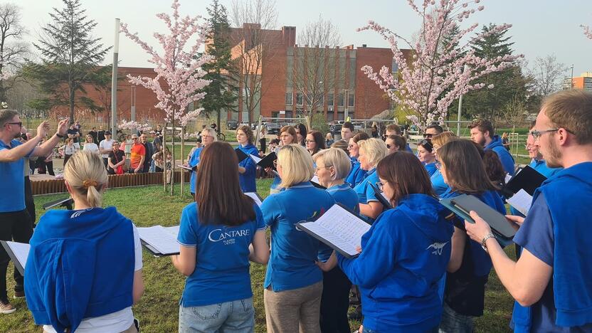 Susidomėjimas: pasiklausyti choro „Cantare“ atliekamų kūrinių susirinko nemažai klaipėdiečių.