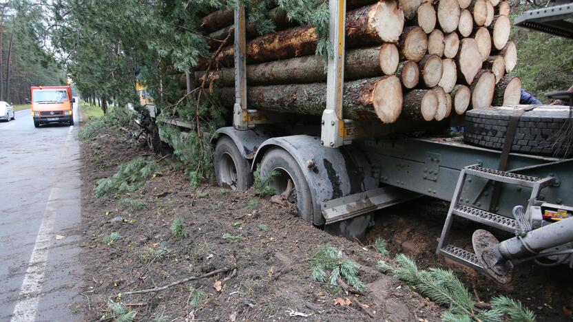 Neišgirdo: ekspertų siūlymai leisti įmonėms, kurios perdirba medieną Lietuvoje, pirmajame rate nusipirkti tiek, kiek gali perdirbti, kad neliktų erdvės spekuliuoti, neišgirsti.