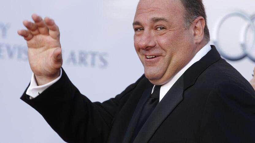 Jamesas Gandolfini