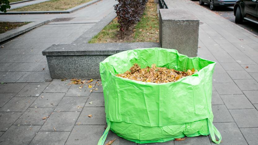 Patinka: didmaišiai – vizualiai gražūs, talpūs, patvarūs ir patogūs sudėti bei transportuoti.