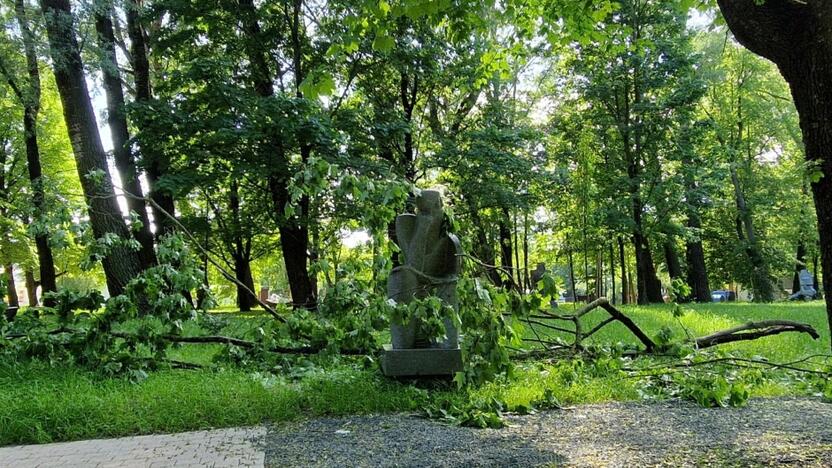 Pavojinga: medžio šaka – nemaža, kritusi ji galėjo ne tik pakenkti skulptūrai, bet ir praeiviui.