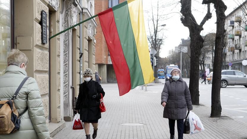 Apsauga: valstybinė vėliava yra saugoma įstatymo, pagal kurį nustatyti ne tik reikalavimai, kada ir kaip ji turi būti keliama, bet ir baudos už jos išniekinimą.