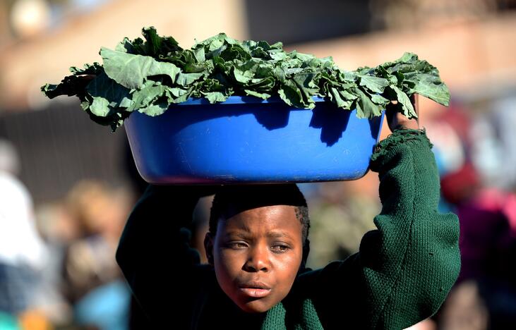 Afrikos Sąjunga: rinkimai Zimbabvėje buvo "laisvi" ir "įtikinami"