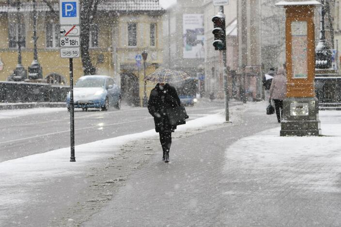 Pirmasis sniegas Klaipėdoje