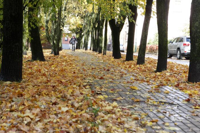 Prapliupus lietui, krintantys lapai pridaro bėdų: technika gatvėse sukinėsis dažniau