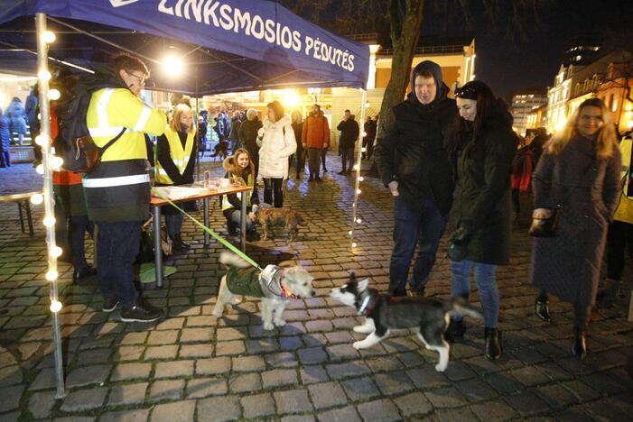 Klaipėdoje prasidėjo šeštasis Šviesų festivalis