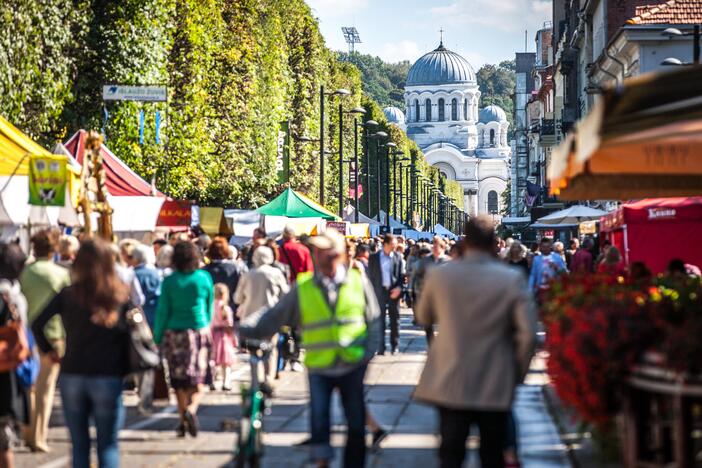 Rudens gėrybių mugė Laisvės alėjoje