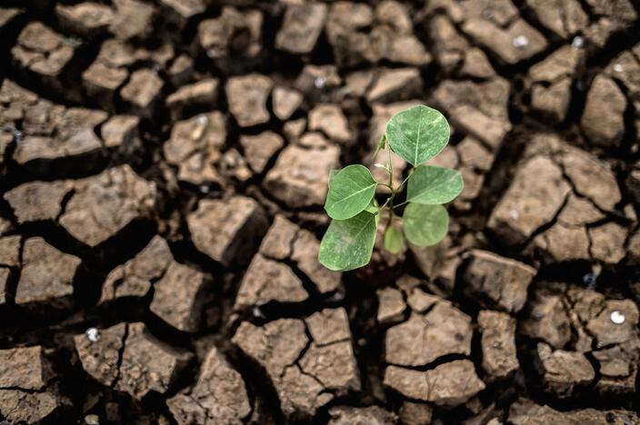 Ministerija: akcizų didinimas padėtų siekti klimato kaitos tikslų