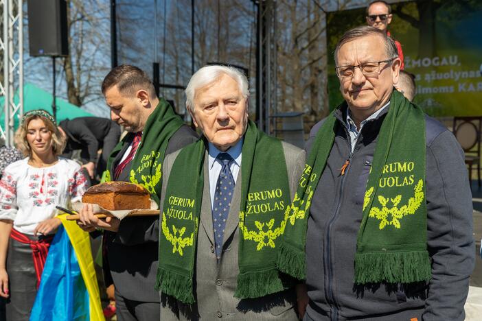 Ukrainos aukų atminties ąžuolynas 