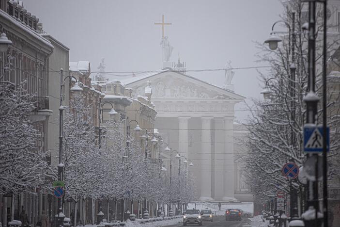 Gausus sniegas užklojo Vilnių