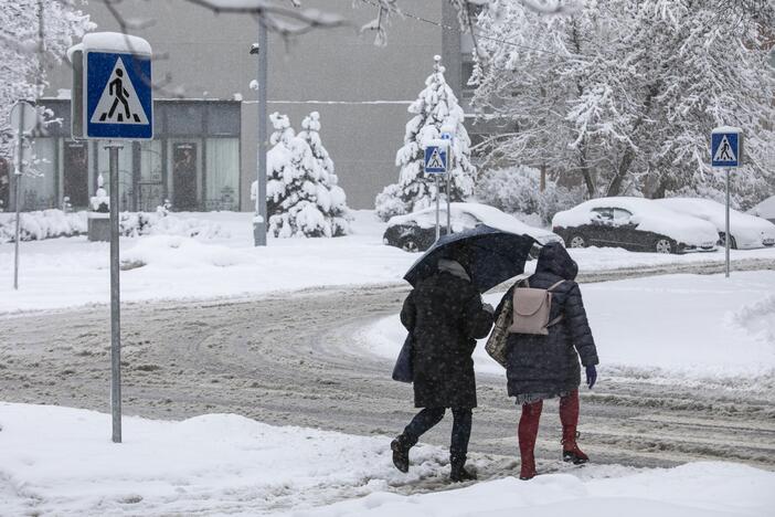 Gausus sniegas užklojo Vilnių