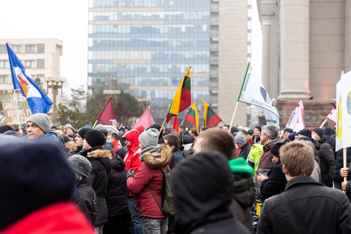 Protestas prie Seimo Sausio 13-ąją