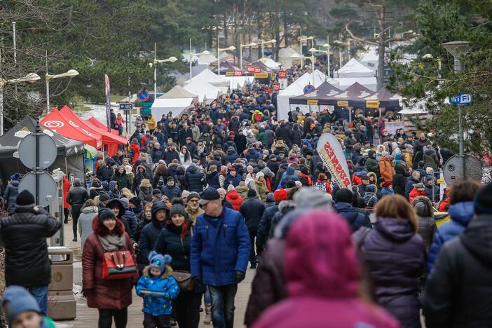 Palanga ruošiasi stintų šventei, o Nidoje „Stintapūkis“ nevyks