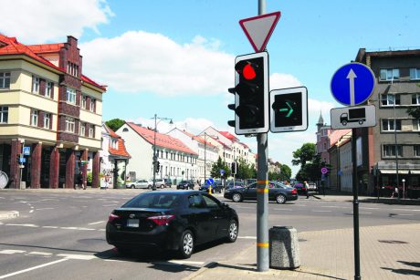 varpos ilgis liūte varpos dydžio padidėjimas namuose