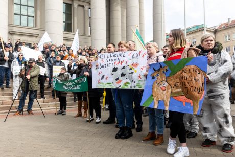 Lietuvos pieno gamintojų mitingas prie Seimo
