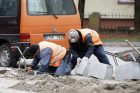 Balandžio 3-oji Klaipėdos diena Balandžio 3-oji Klaipėdos diena