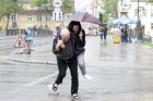Liūtis Klaipėdoje Liūtis Klaipėdoje
