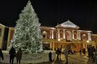Klaipėdoje sužibo tradiciškai gyva eglė (2020) Klaipėdoje sužibo tradiciškai gyva eglė (2020)