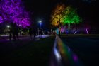 Kaune prasidėjo „Šviesų festivalis“ Kaune prasidėjo „Šviesų festivalis“
