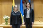 Seimo pirmininkė susitiko su N. Pinchuk Seimo pirmininkė susitiko su N. Pinchuk