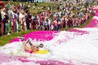 Šaltibarščių festivalis Vilniuje Šaltibarščių festivalis Vilniuje