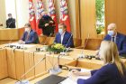 „Valstiečiai“ pristatė šešėlinę Vyriausybę „Valstiečiai“ pristatė šešėlinę Vyriausybę