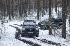 Pasienis su Baltarusija Pasienis su Baltarusija