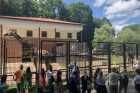 Lietuvos zoologijos sodas atšventė 82-ąjį gimtadienį Lietuvos zoologijos sodas atšventė 82-ąjį gimtadienį