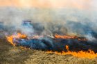 Miško gaisras Černobylio uždaroje zonoje Miško gaisras Černobylio uždaroje zonoje