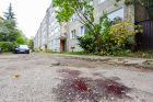 Jauno vyro nužudymas K. Griniaus gatvėje Jauno vyro nužudymas K. Griniaus gatvėje