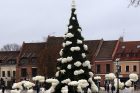 Kauno eglutė laukia įžiebimo šventės Kauno eglutė laukia įžiebimo šventės