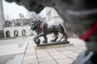 81-as Liūtų gimtadienis Karo muziejuje 81-as Liūtų gimtadienis Karo muziejuje
