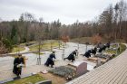 Gėlių padėjimo ceremonija ant signatarų kapų Gėlių padėjimo ceremonija ant signatarų kapų