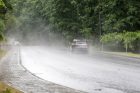 Joninių dieną – liūtis Kaune Joninių dieną – liūtis Kaune