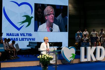 Konservatorių kandidatė I. Šimonytė kausis Antakalnio apygardoje