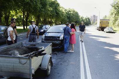 Nuostoliai: vien šiemet dėl nelaimingų nutikimų susidūrus su laukiniais žvėrimis išmokėta suma jau viršija 1,6 mln. eurų.