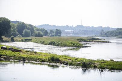 Sausra: vasarą Nemuno vaizdas kelia pagrįsto nerimo.