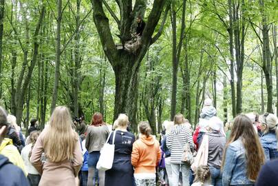 Trauka: Skulptūrų parkas jau seniai yra tapęs ne tik senųjų klaipėdiečių amžinojo poilsio, bet ir įdomių renginių vieta.