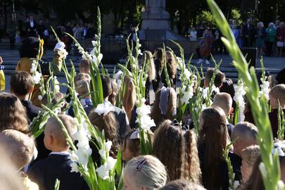 Tradicija: perkamiausia moksleivių gėlė – kardelis, jau tapęs Mokslo dienos simboliu.