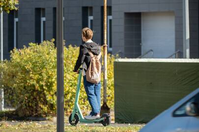 Ieškoma: viliamasi, kad šunį paspirtuku partrenkęs jaunuolis pats kreipsis į keturkojo šeimininkus.