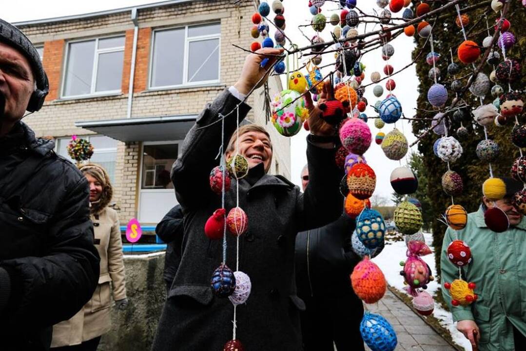Šeduvoje pražydo rekordinis Velykų medis