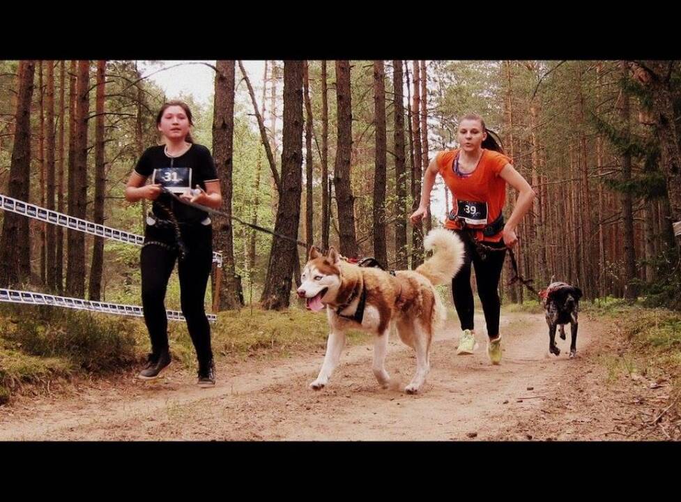 Bėgimo su šunimis varžybos