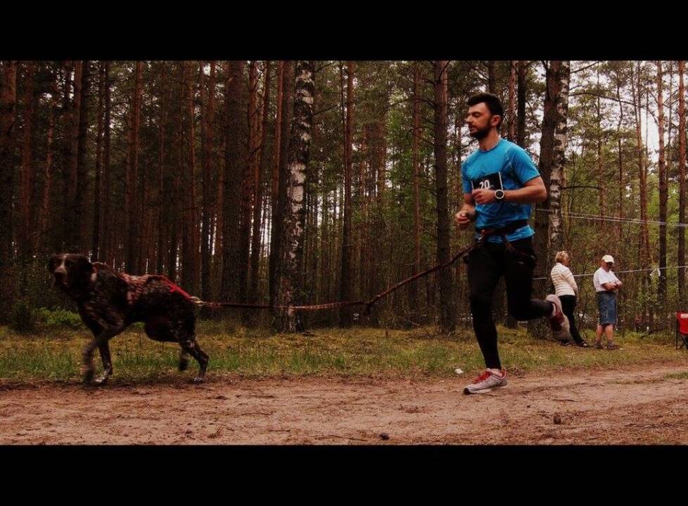 Bėgimo su šunimis varžybos